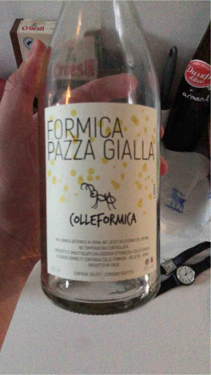 Formica Pazza Gialla - Colleformica - Sergio & Paulo Bombetti 