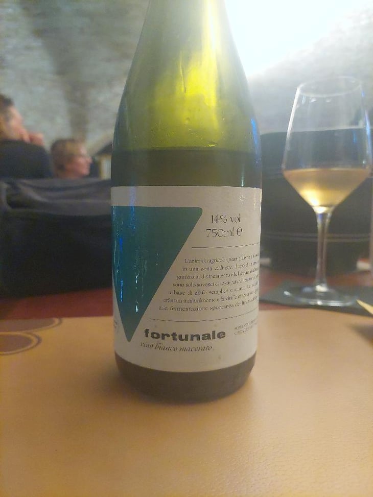 Fortunale Macerato - Quattro Elementi - Francesco Longoni 
