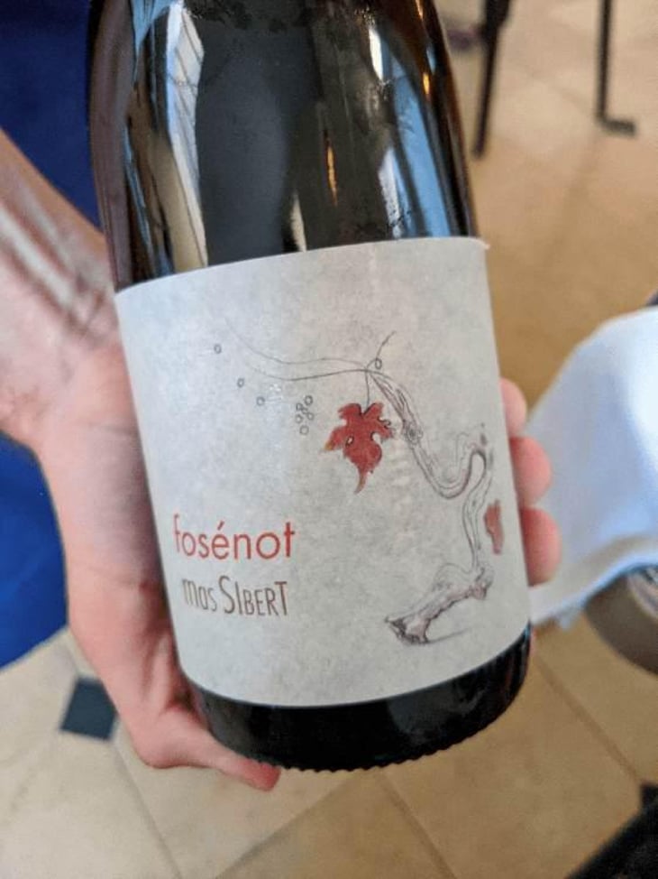 Fosénot - Mas Sibert - Sara & Simon Bertschinger -2017