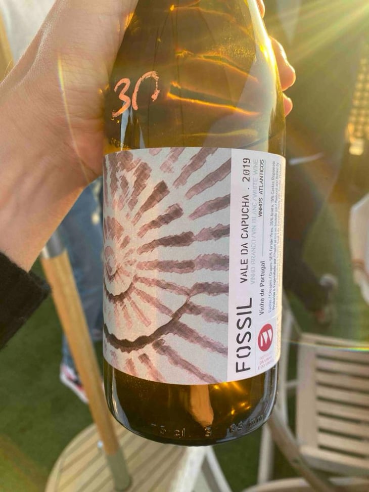 Fossil Branco - Vale da Capucha - Pedro Marques 