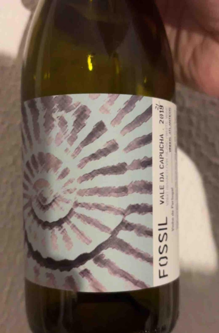 Fossil Branco - Vale da Capucha - Pedro Marques 