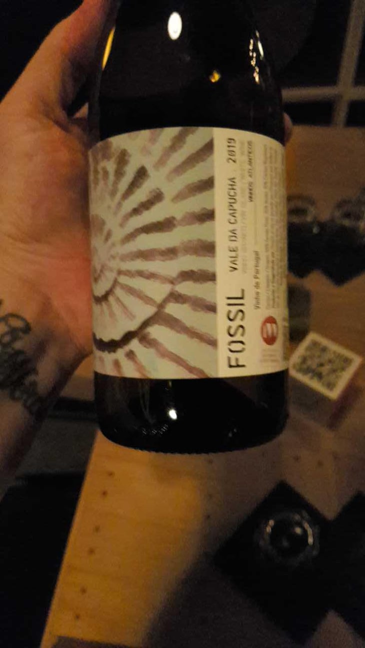 Fossil Branco - Vale da Capucha - Pedro Marques 