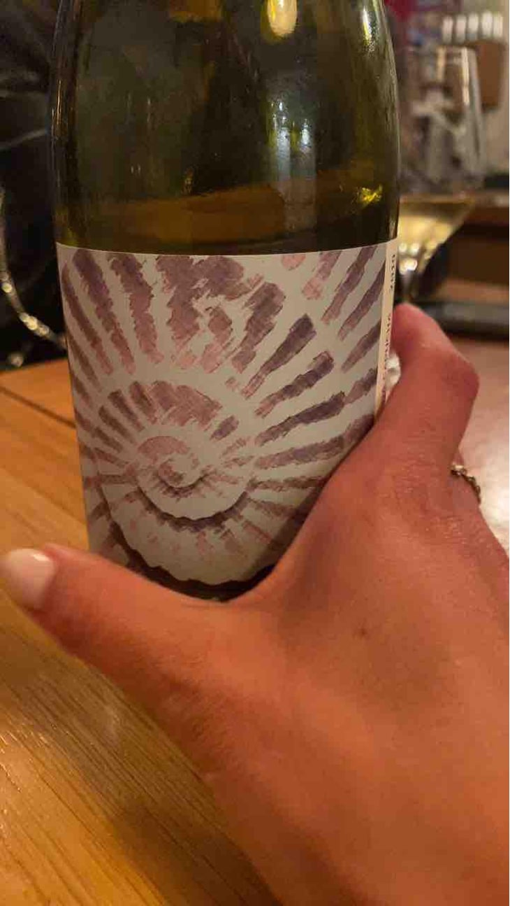 Fossil Branco - Vale da Capucha - Pedro Marques 
