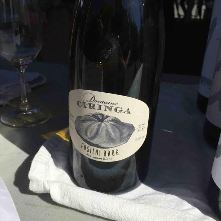 Fosilni Breg - Starjerska Slovenija - Domaine Ciringa 