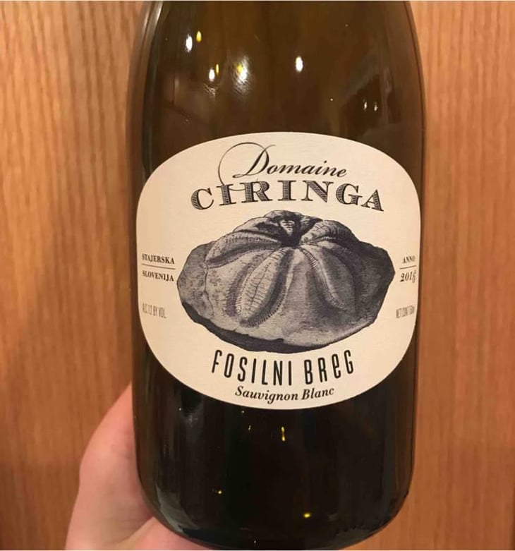 Fosilni Breg - Starjerska Slovenija - Domaine Ciringa 