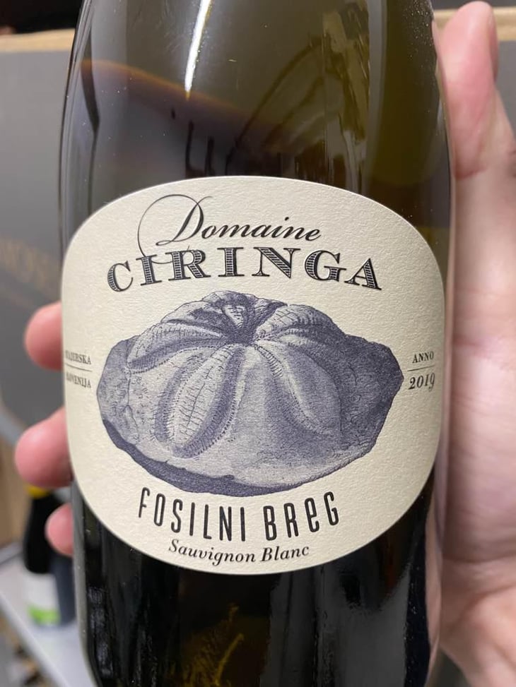 Fosilni Breg - Starjerska Slovenija - Domaine Ciringa 