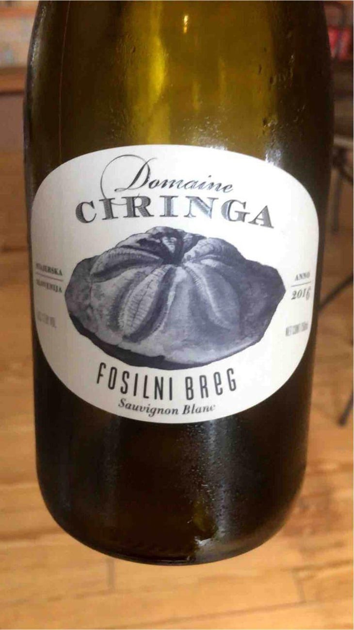 Fosilni Breg - Starjerska Slovenija - Domaine Ciringa 