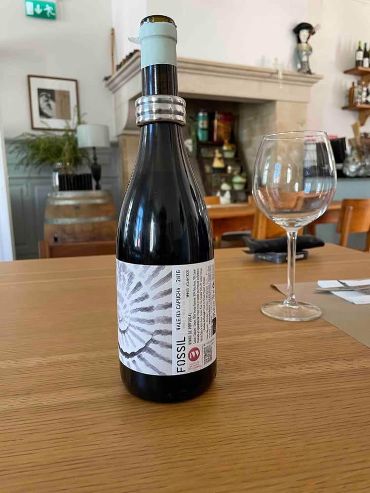 Fossil Tinto - Vale da Capucha - Pedro Marques 