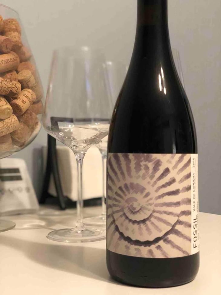 Fossil Tinto - Vale da Capucha - Pedro Marques 