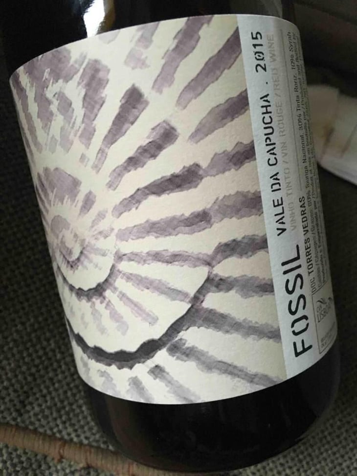 Fossil Tinto - Vale da Capucha - Pedro Marques 