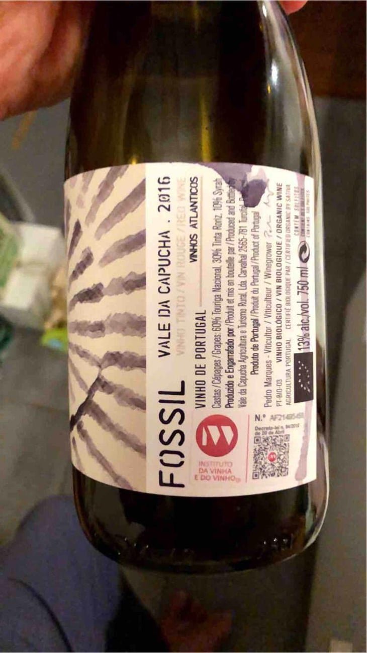 Fossil Tinto - Vale da Capucha - Pedro Marques 