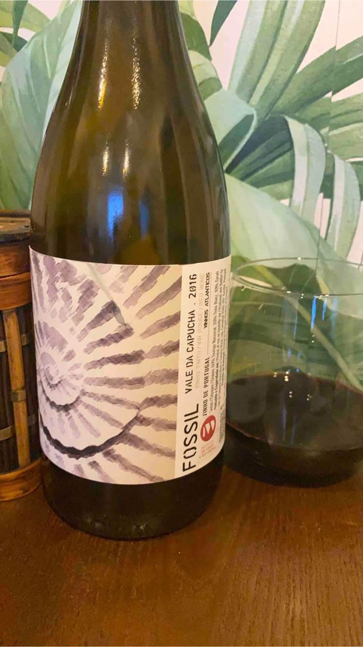 Fossil Tinto - Vale da Capucha - Pedro Marques 