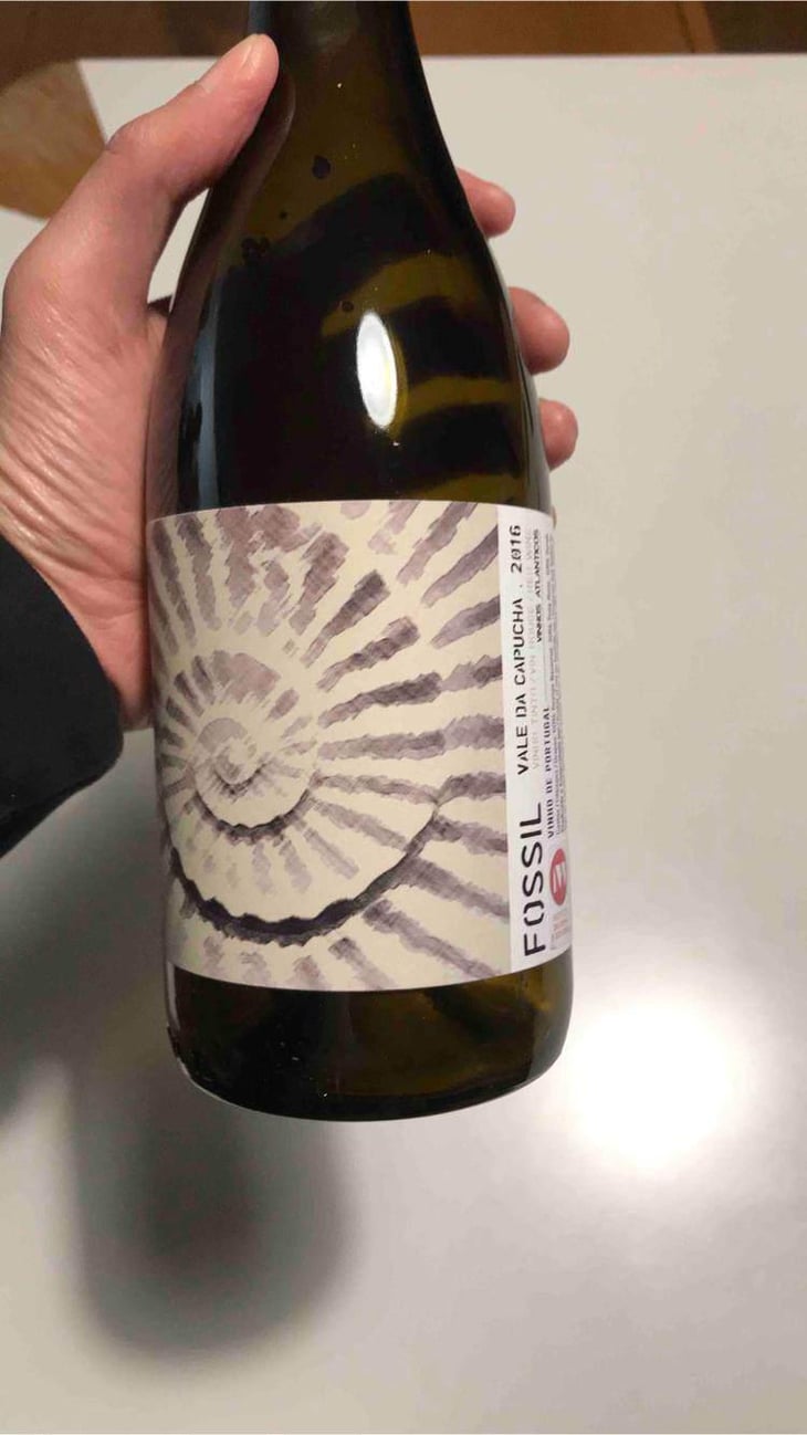 Fossil Tinto - Vale da Capucha - Pedro Marques 