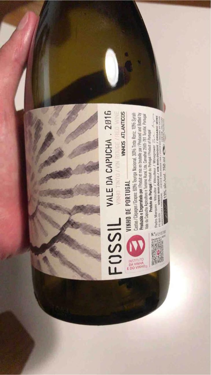 Fossil Tinto - Vale da Capucha - Pedro Marques 
