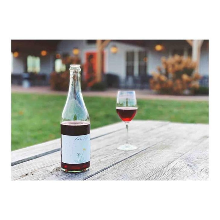 Frame Fizz - Old Westminster Winery - Drew Baker 