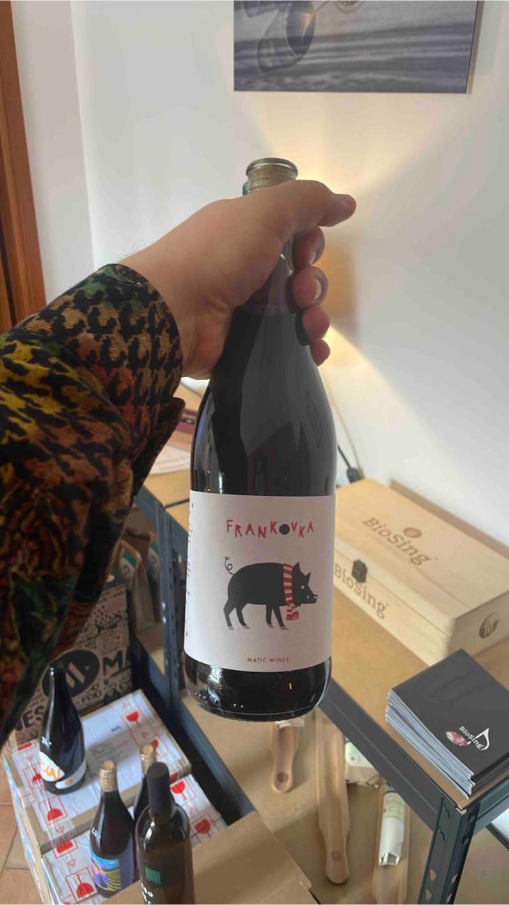 Frankovka - Matic Wines - Matija Žerjav -2022