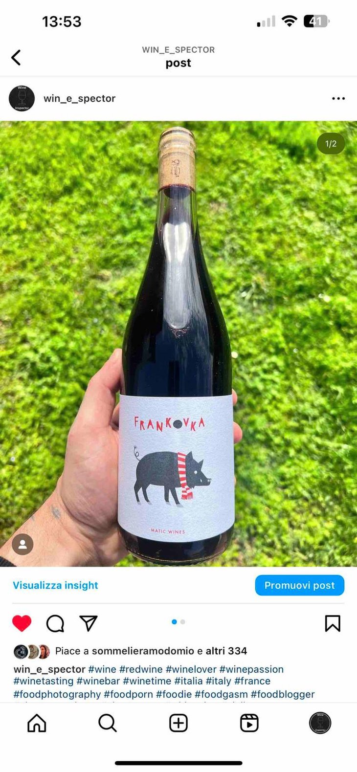 Frankovka - Matic Wines - Matija Žerjav -2022