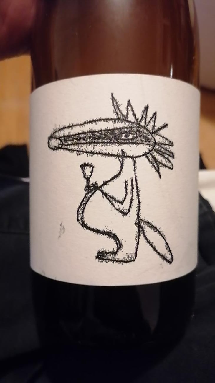 Frechdachs - Riesling-Sylvaner Orange - Hossli Wein - Ivan & Cyrill Hossli -2022