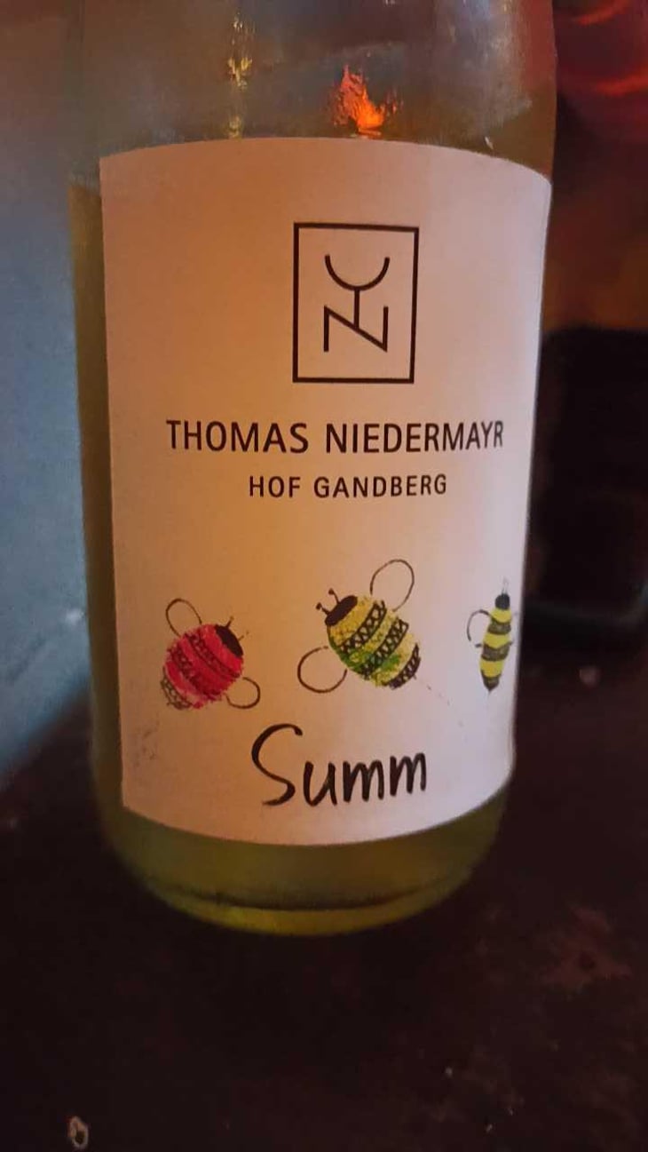 Freistil - Thomas Niedermayr – Hof Gandberg - Thomas Niedermayr -2021