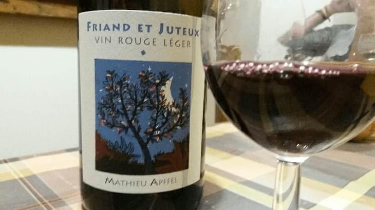 Friand Et Juteux - Mathieu Apffel - Camille & Mathieu Apffel 