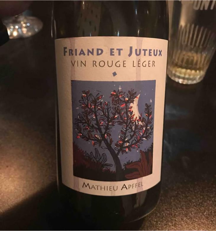 Friand Et Juteux - Mathieu Apffel - Camille & Mathieu Apffel 
