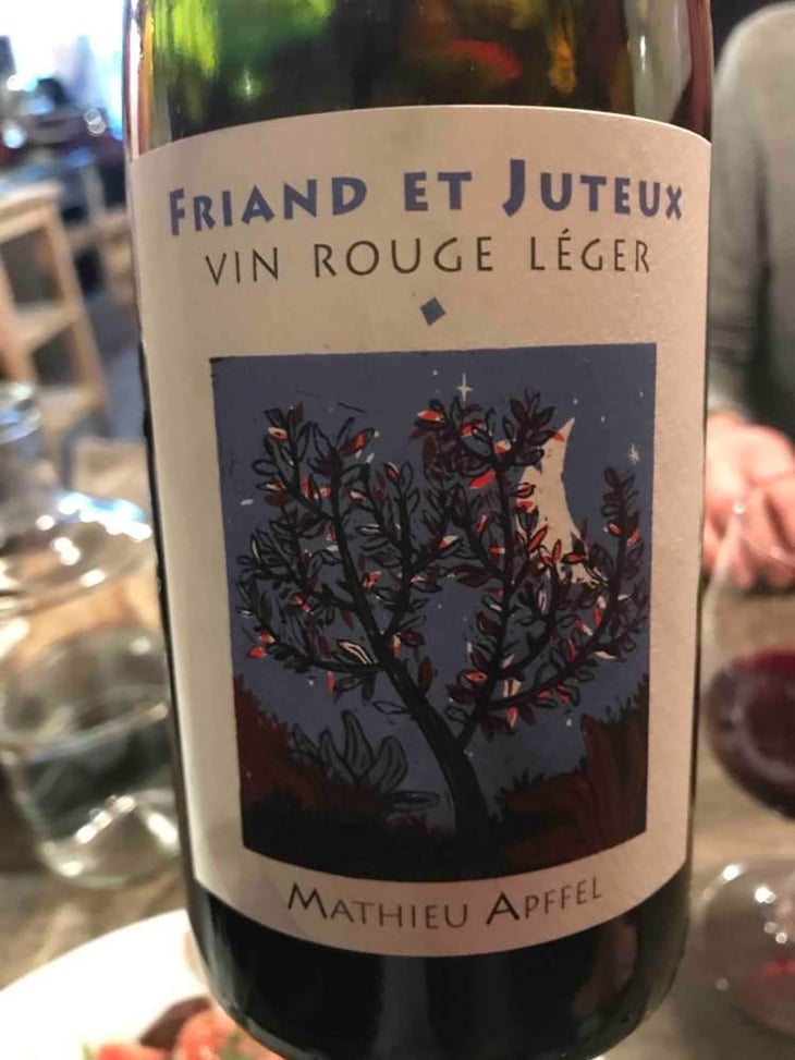 Friand Et Juteux - Mathieu Apffel - Camille & Mathieu Apffel 