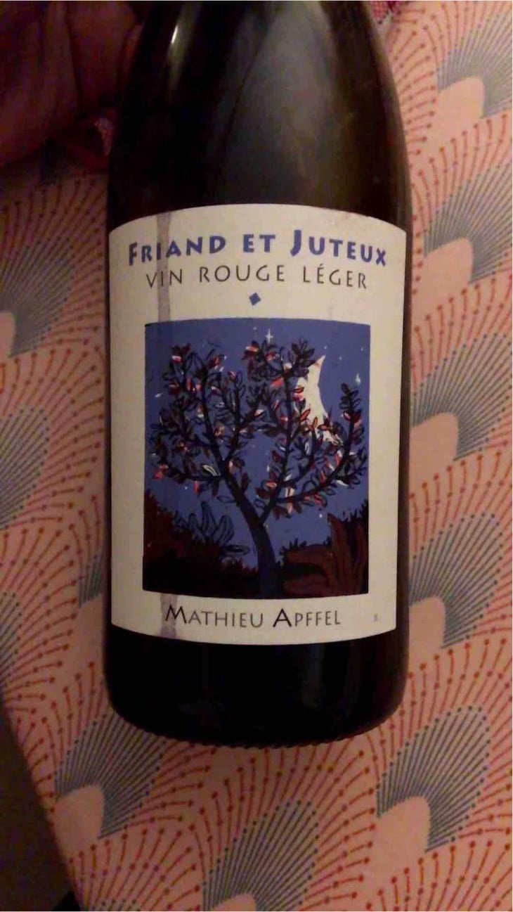 Friand Et Juteux - Mathieu Apffel - Camille & Mathieu Apffel 