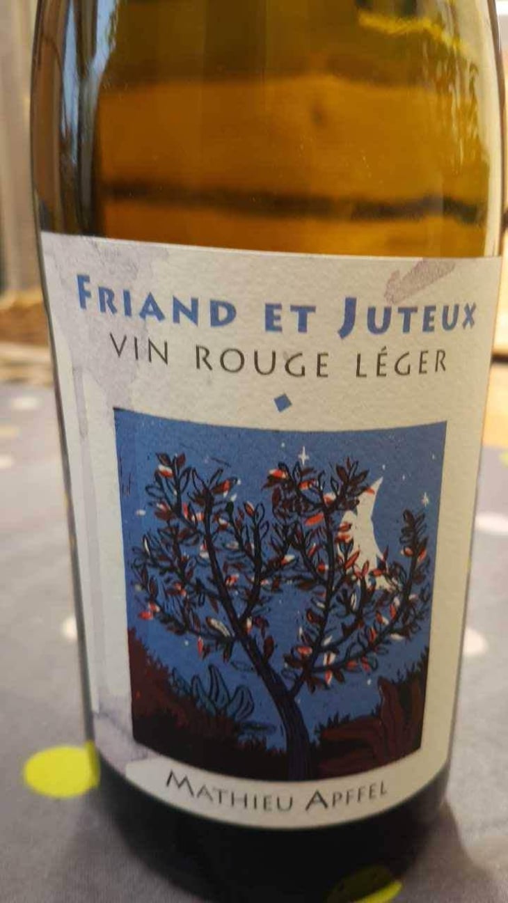 Friand Et Juteux - Mathieu Apffel - Camille & Mathieu Apffel 