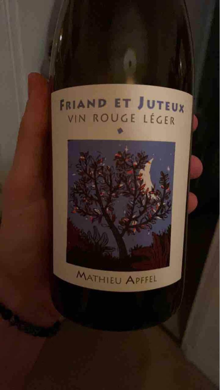 Friand Et Juteux - Mathieu Apffel - Camille & Mathieu Apffel 