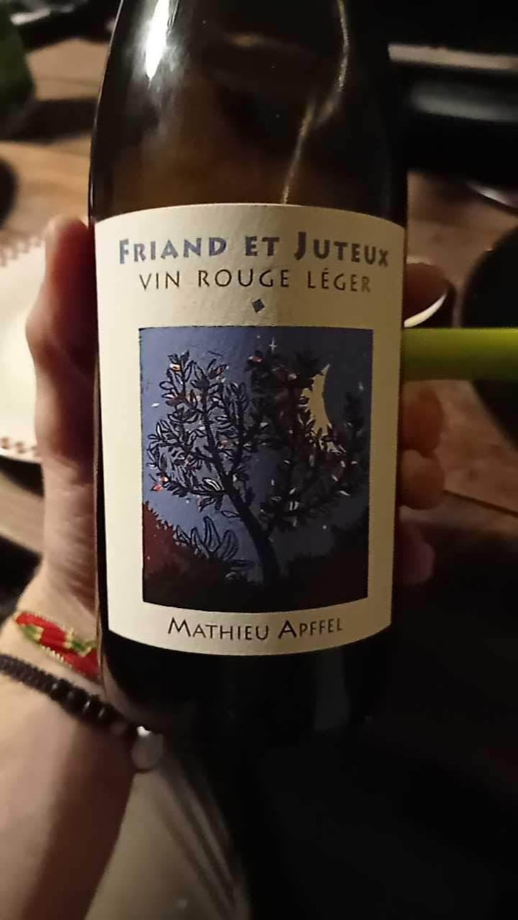 Friand Et Juteux - Mathieu Apffel - Camille & Mathieu Apffel 