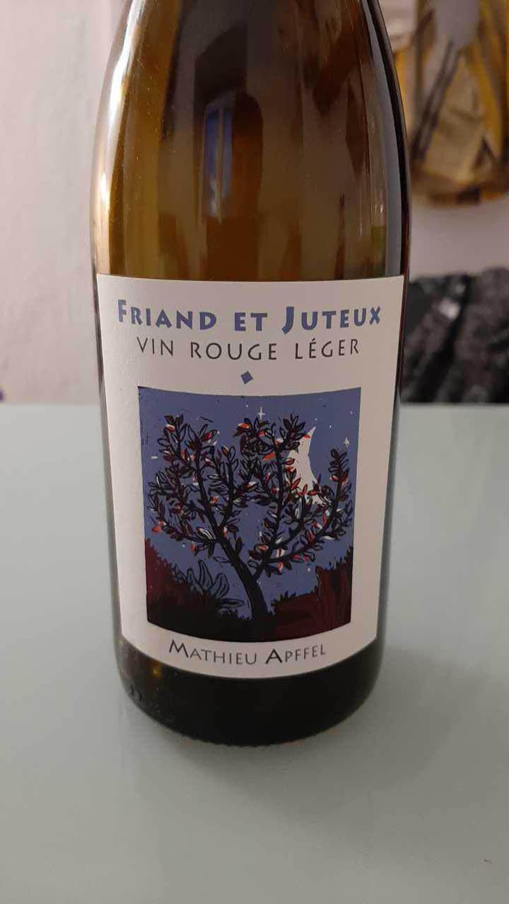 Friand Et Juteux - Mathieu Apffel - Camille & Mathieu Apffel 