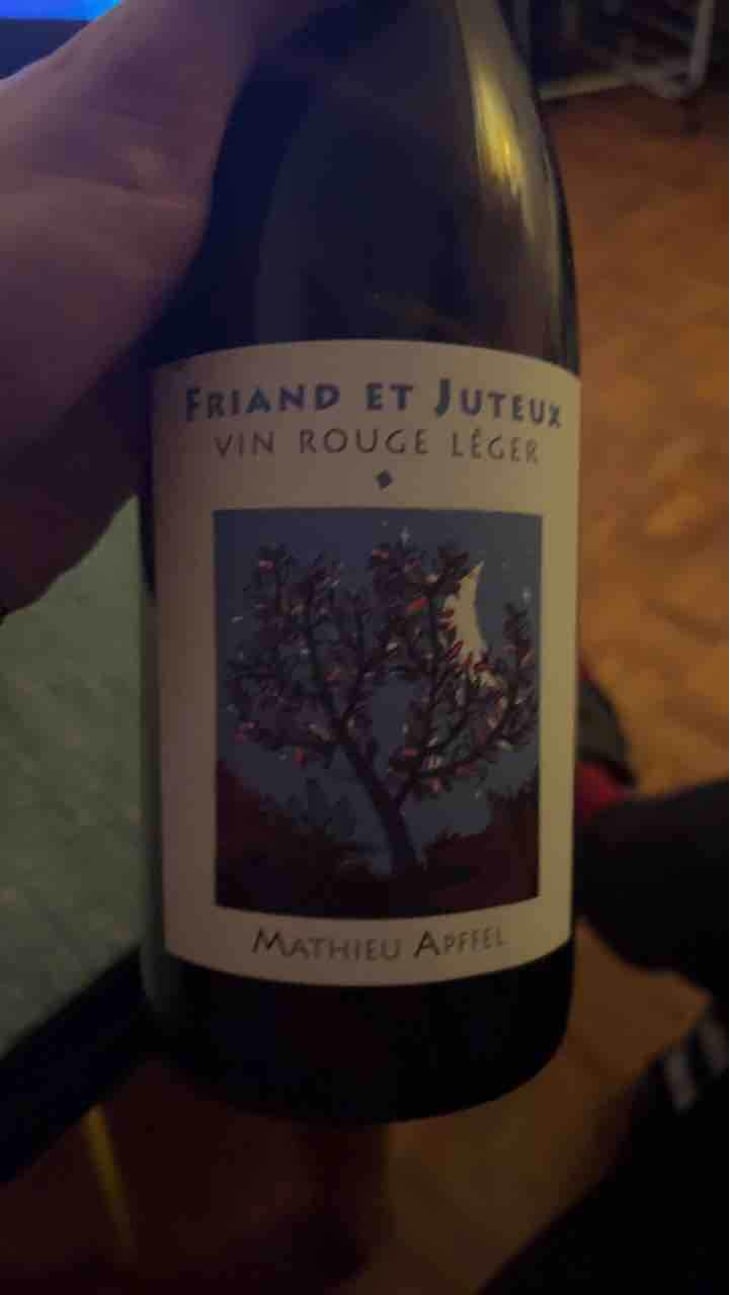 Friand Et Juteux - Mathieu Apffel - Camille & Mathieu Apffel 