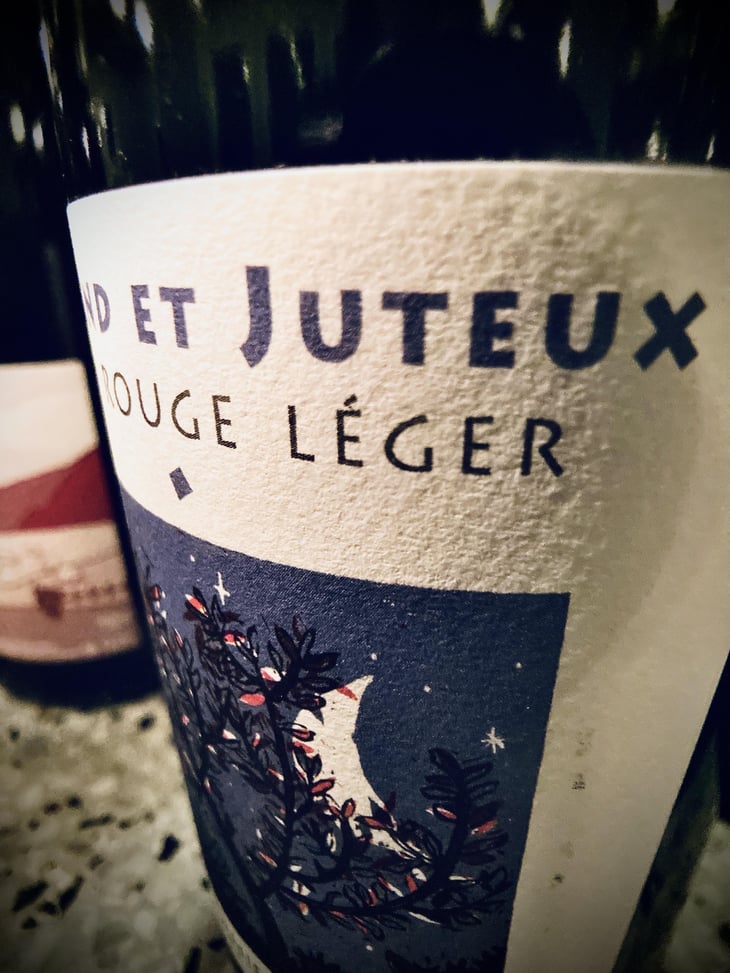 Friand Et Juteux - Mathieu Apffel - Camille & Mathieu Apffel 