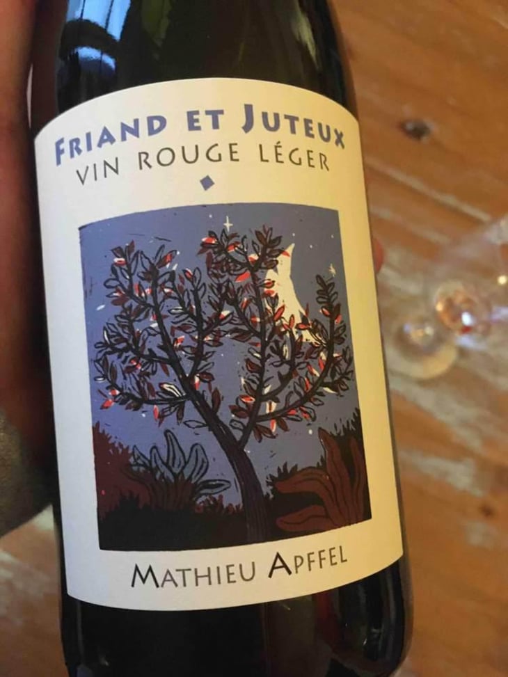 Friand Et Juteux - Mathieu Apffel - Camille & Mathieu Apffel 