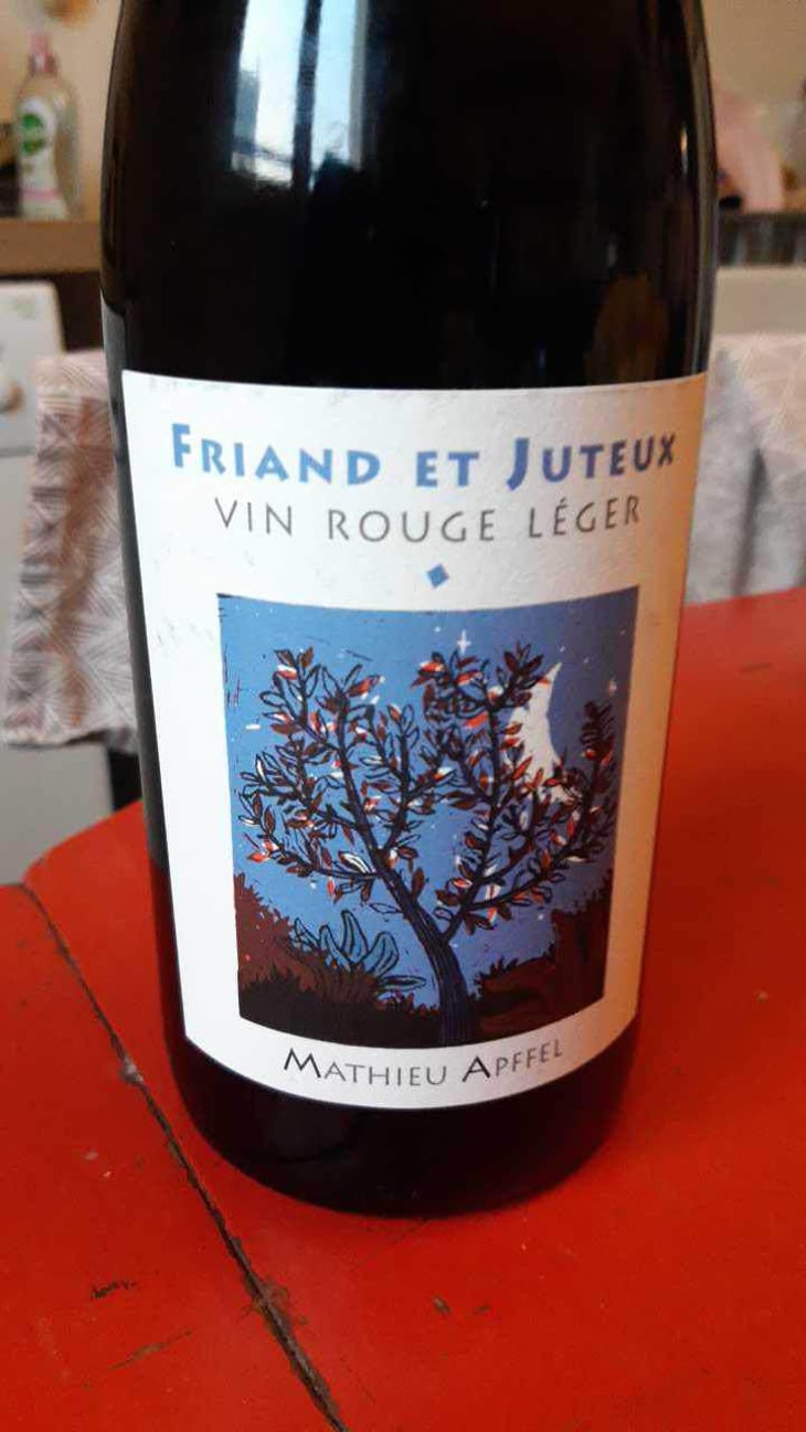 Friand Et Juteux - Mathieu Apffel - Camille & Mathieu Apffel 
