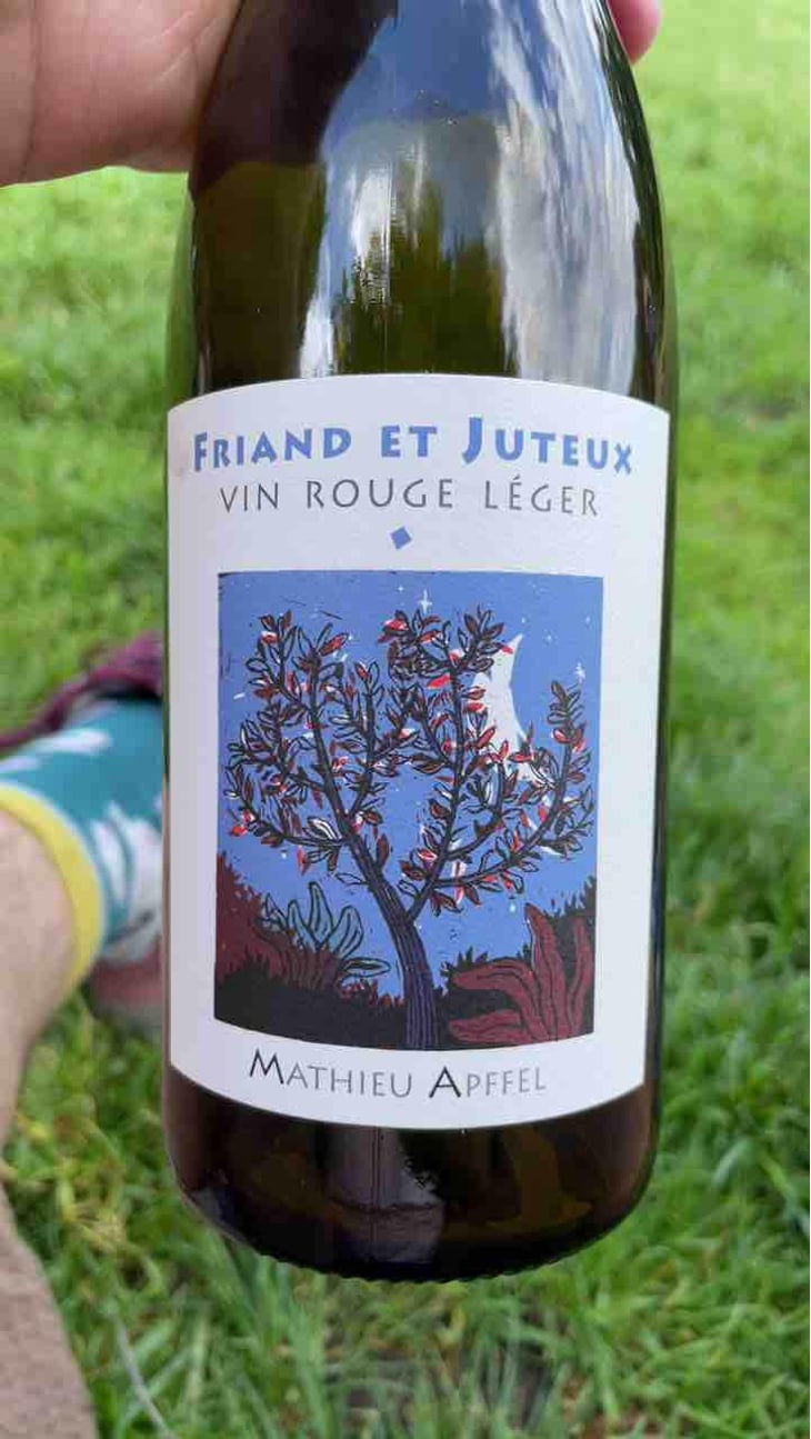 Friand Et Juteux - Mathieu Apffel - Camille & Mathieu Apffel 