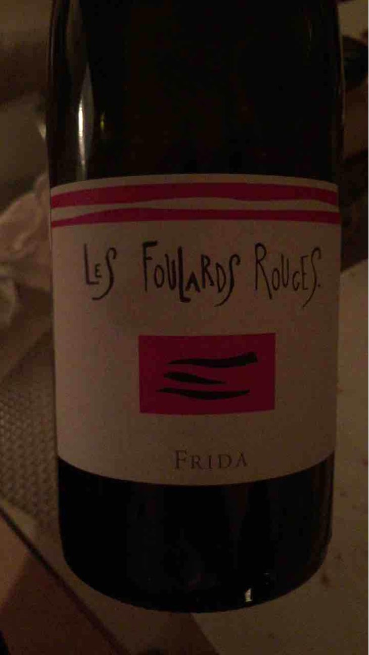 Frida - Les Foulards Rouges - Jean-Francois Nicq 