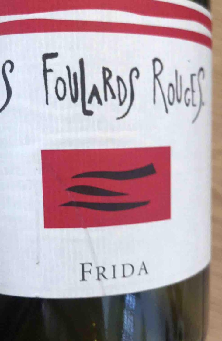 Frida - Les Foulards Rouges - Jean-Francois Nicq 