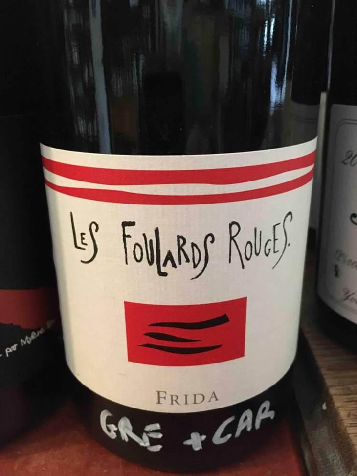 Frida - Les Foulards Rouges - Jean-Francois Nicq 