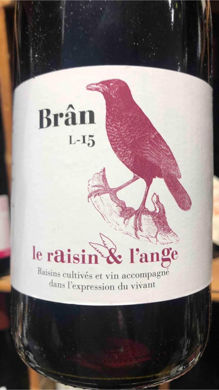 Frigoula - Le Raisin et l'Ange - Gilles & Antonin Azzoni 