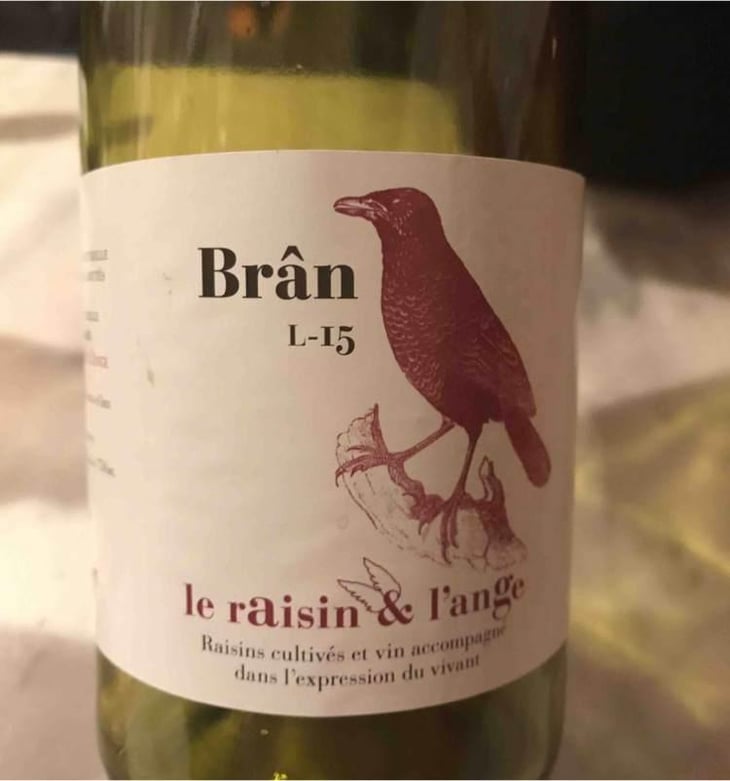 Frigoula - Le Raisin et l'Ange - Gilles & Antonin Azzoni 