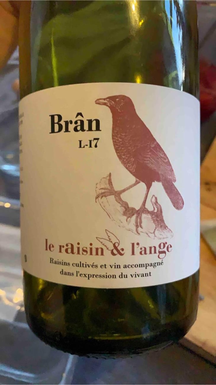 Frigoula - Le Raisin et l'Ange - Gilles & Antonin Azzoni 