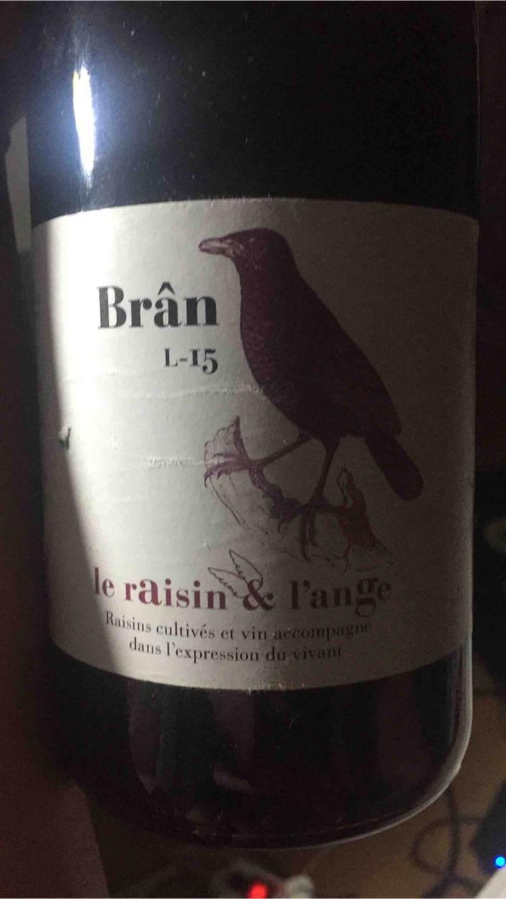 Frigoula - Le Raisin et l'Ange - Gilles & Antonin Azzoni 