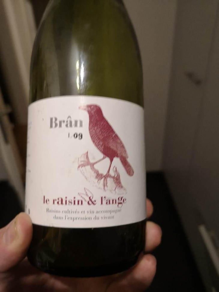 Frigoula - Le Raisin et l'Ange - Gilles & Antonin Azzoni 