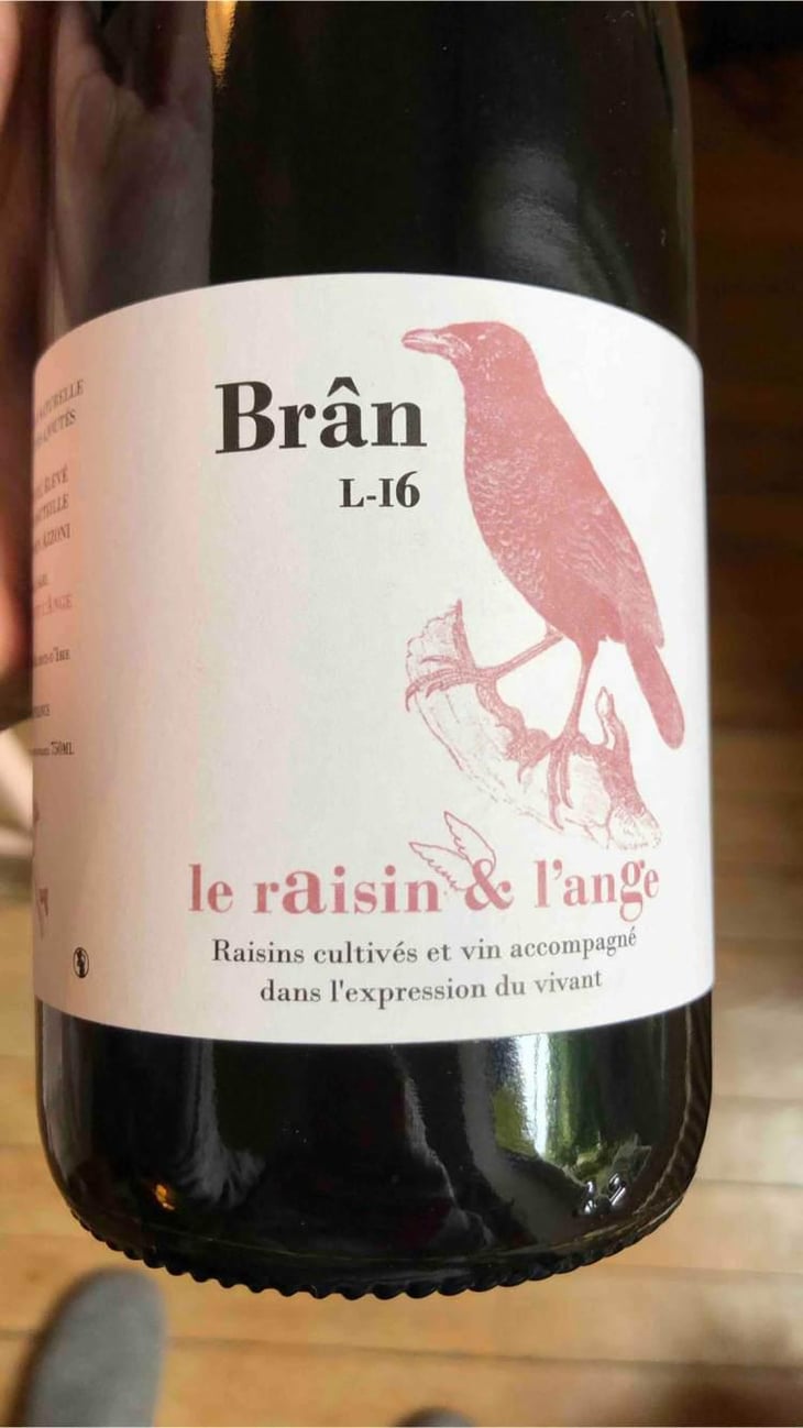 Frigoula - Le Raisin et l'Ange - Gilles & Antonin Azzoni 