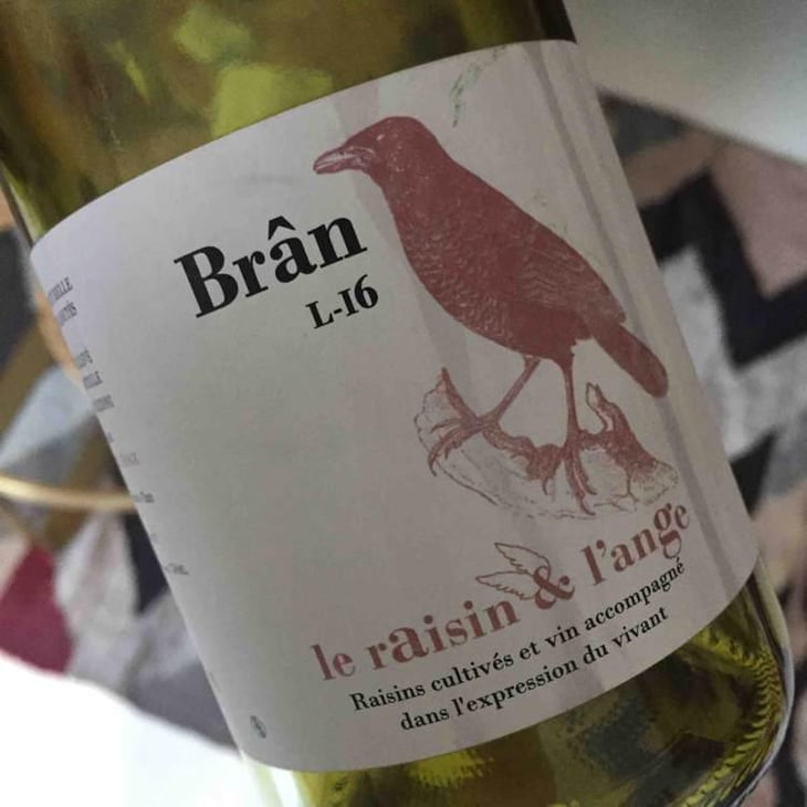 Frigoula - Le Raisin et l'Ange - Gilles & Antonin Azzoni 