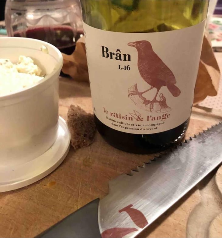 Frigoula - Le Raisin et l'Ange - Gilles & Antonin Azzoni 