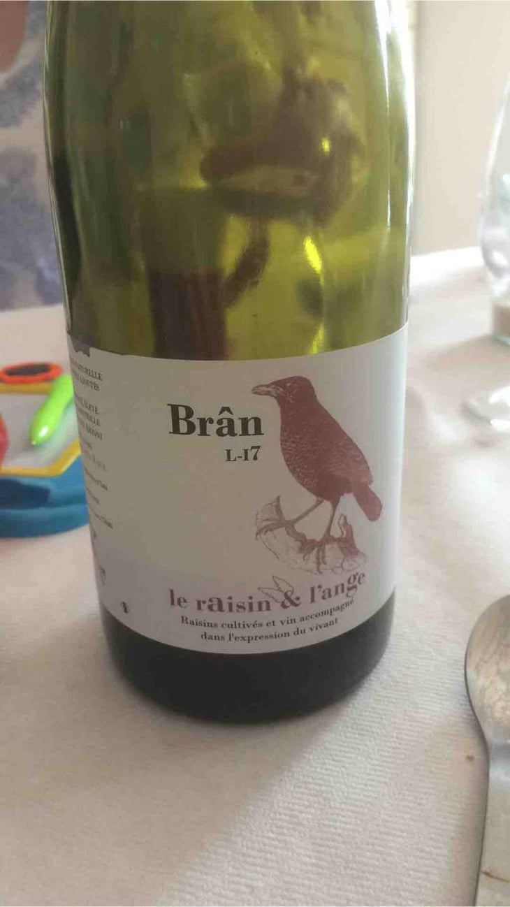 Frigoula - Le Raisin et l'Ange - Gilles & Antonin Azzoni 
