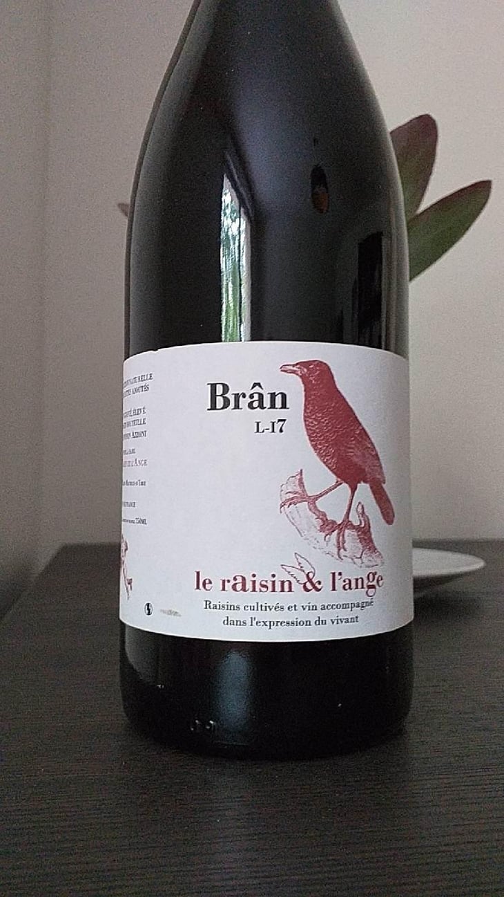 Frigoula - Le Raisin et l'Ange - Gilles & Antonin Azzoni 