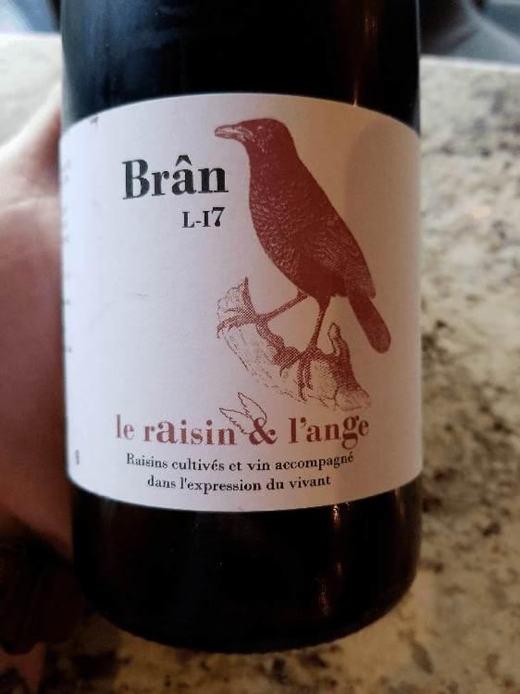 Frigoula - Le Raisin et l'Ange - Gilles & Antonin Azzoni 